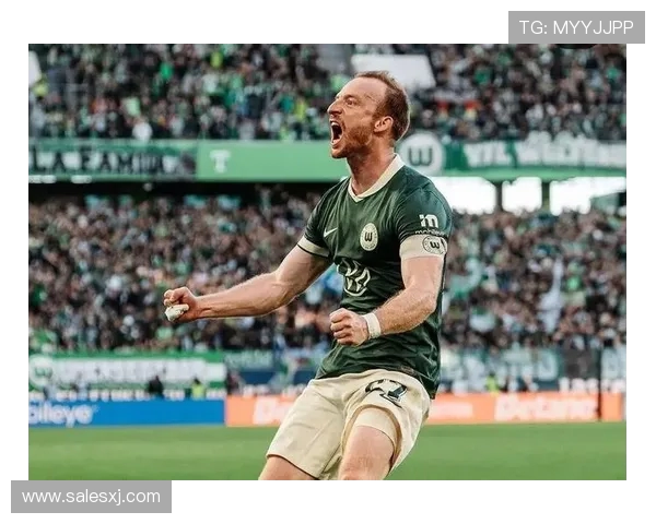 霍芬海姆启动芬克格拉夫转会谈判，斯图加特静待球员态度转变(2)